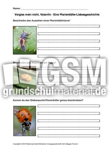 AB-Marienkäfer-Aussehen.pdf